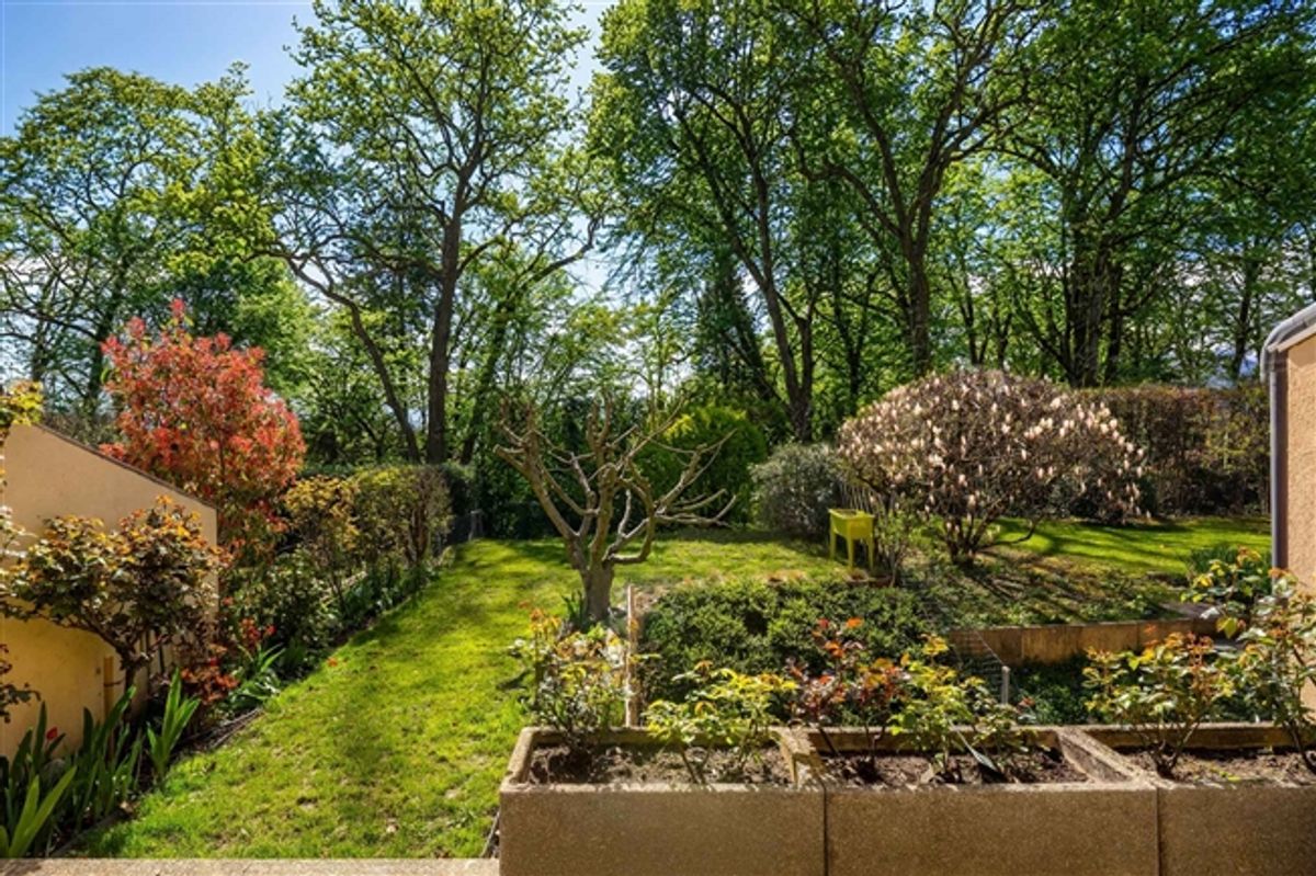 Familien-Dreieck mit Garten – exklusiv - 11