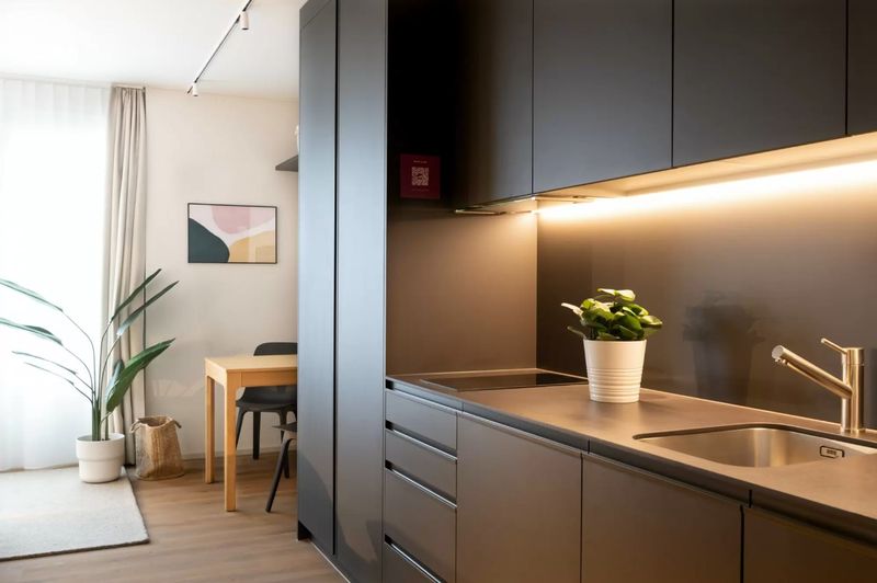 Apartment with view of the Alps - 5