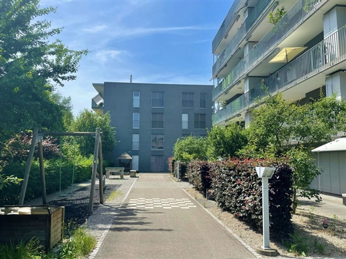 Terrassenwohnung sucht Mieter! - 0