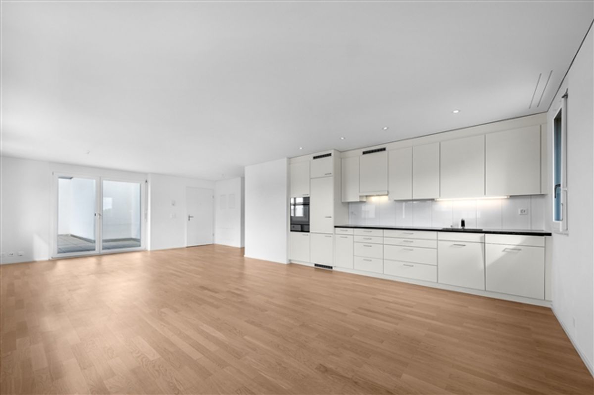 Perfekte Wohnung in Dübendorf mit Dachterrasse - 1