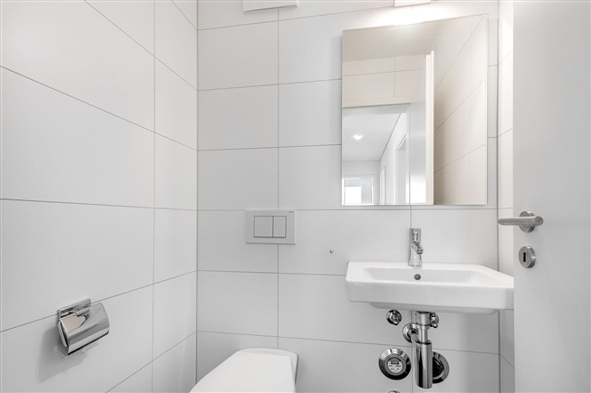 Perfekte Wohnung in Dübendorf mit Dachterrasse - 5