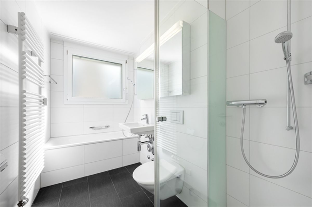 Perfekte Wohnung in Dübendorf mit Dachterrasse - 6