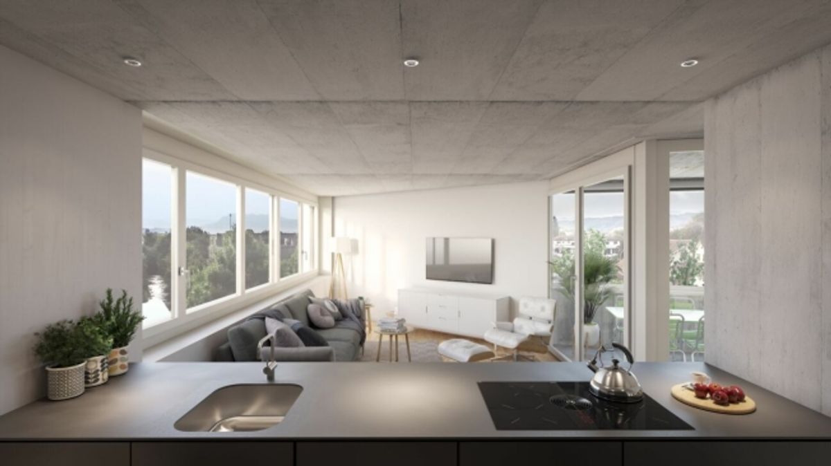 Erstvermietung Exklusive und moderne Wohnung in Nebikon - 0