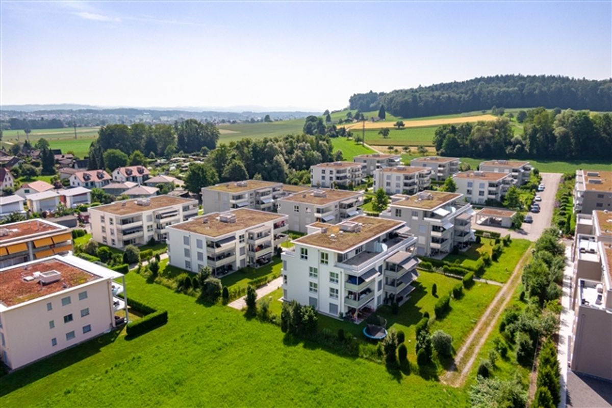 Grosszügige moderne Wohnung in begrünter Umgebung - 0