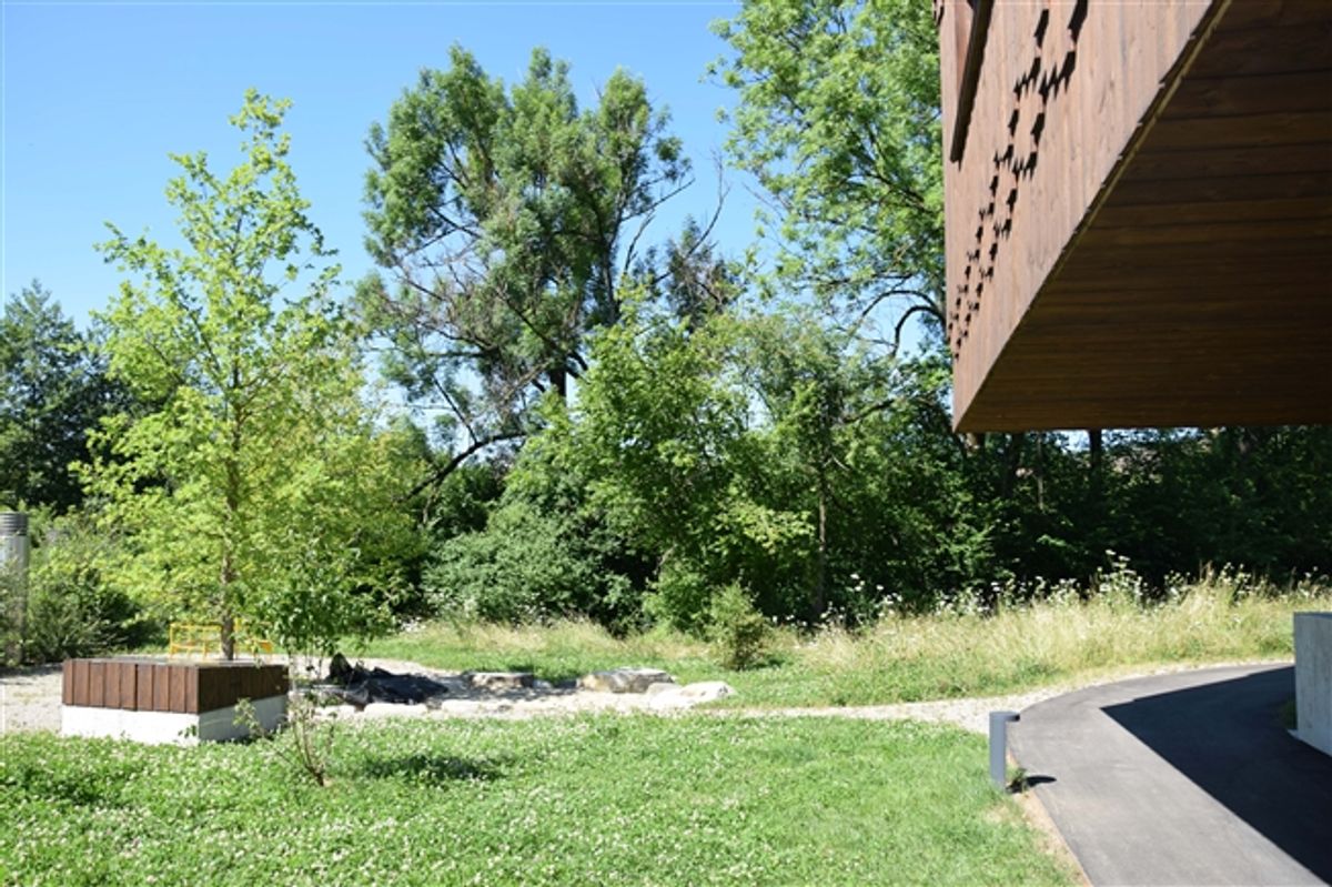Wohnung zu vermieten in Winterthur (Bezirk), Schweiz - 1