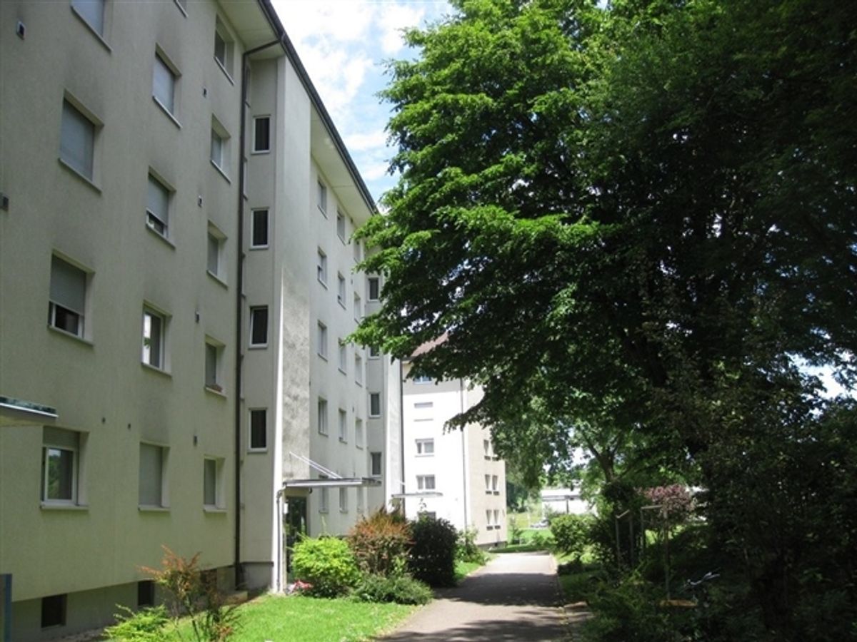 Hier endet Ihre Wohnungssuche - 0