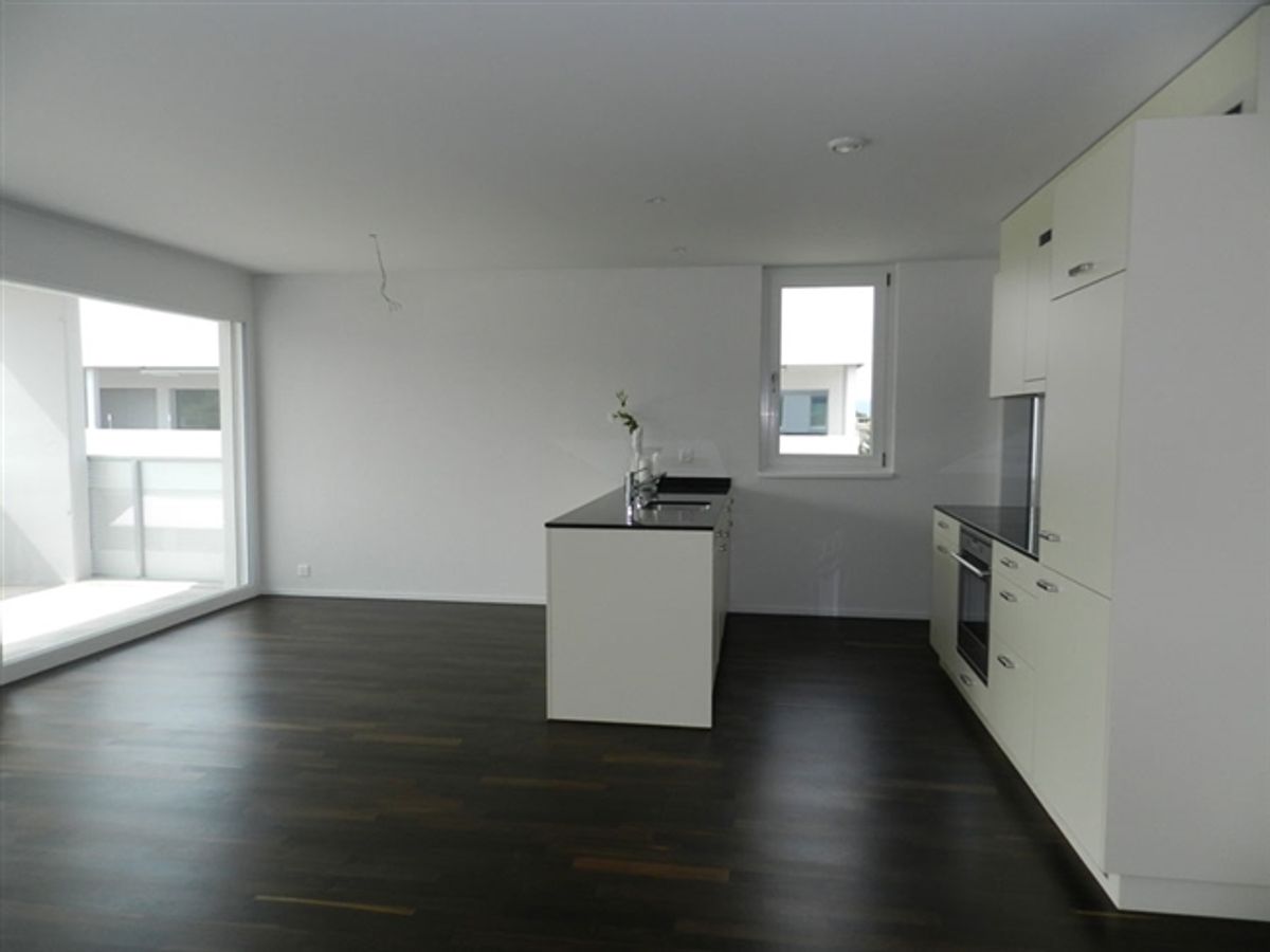Grosszügige und moderne Wohnung mit Sitzplatz in Villmergen - 1