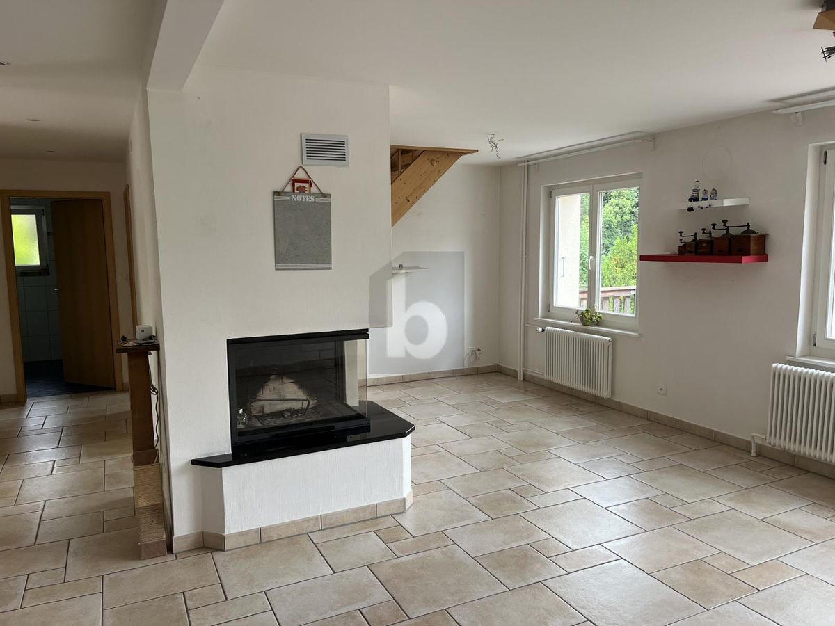JOLIE MAISON DE 2 LOGEMENTS AU CALME - 1