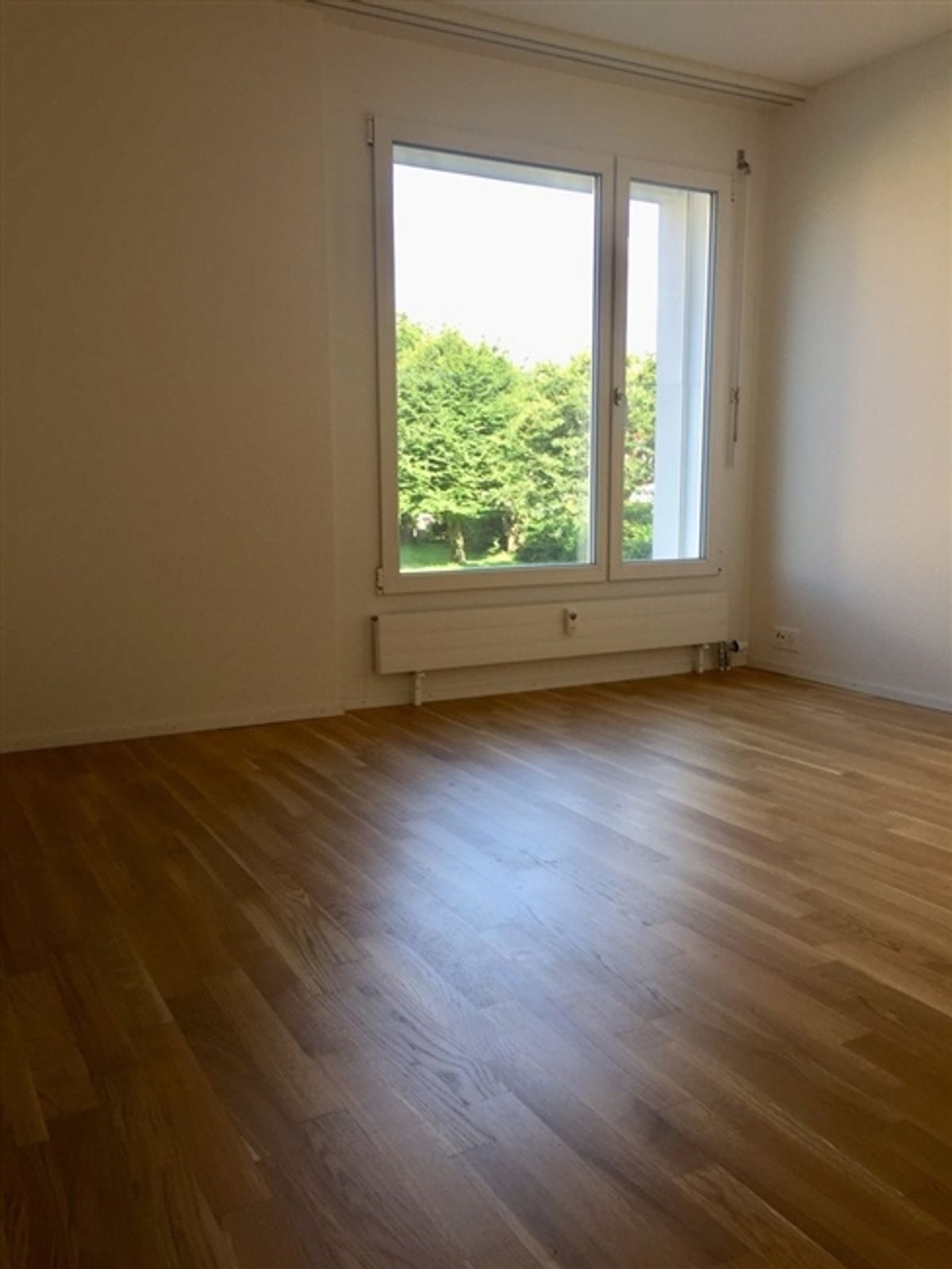 Helle sonnige Wohnung in Thun - 6