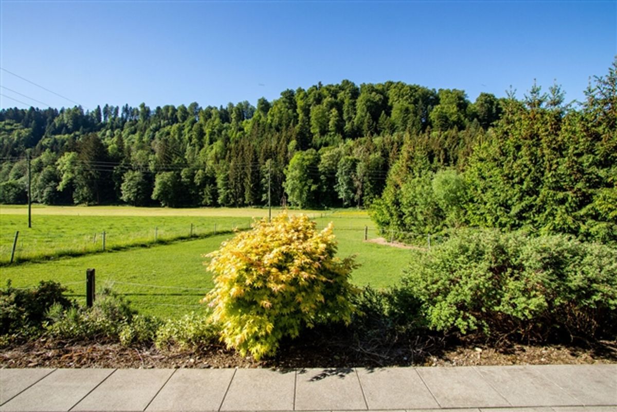 5.5-ZIMMER EINFAMILIENHAUS MIT UNVERBAUBARER AUSSICHT INS GRÜNE - 4