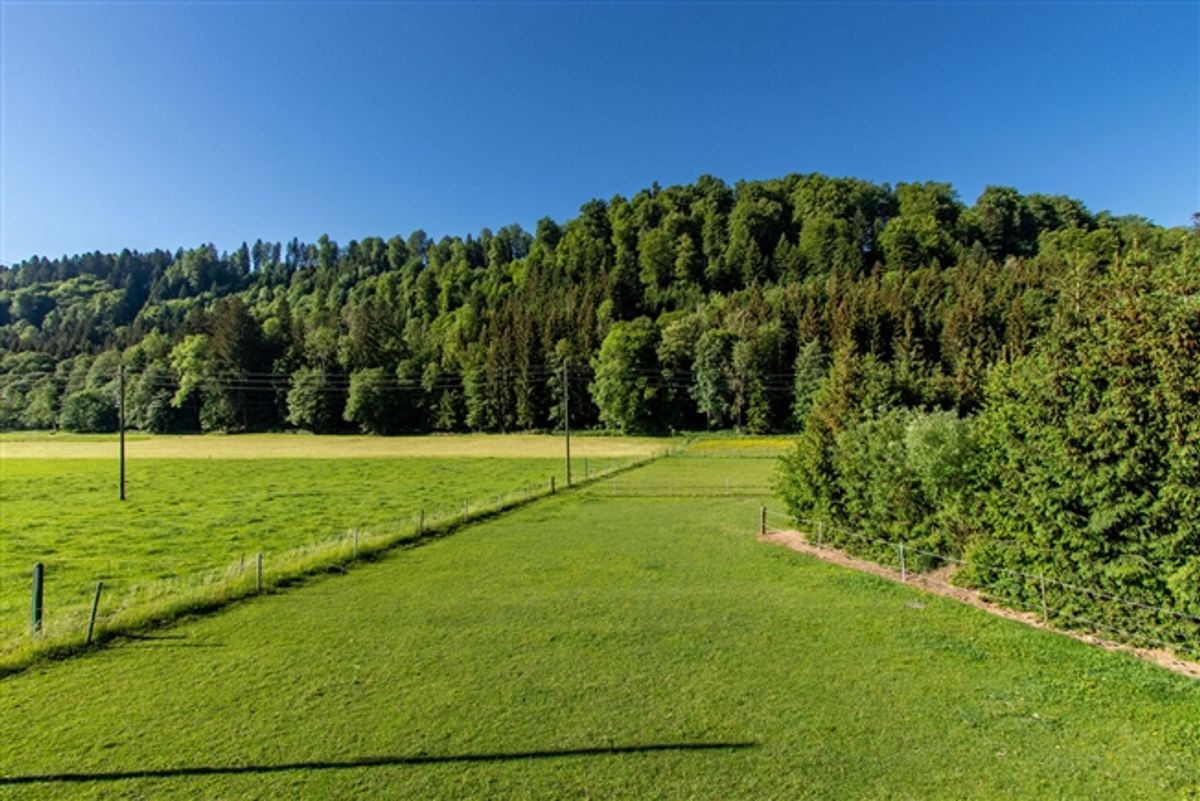 5.5-ZIMMER EINFAMILIENHAUS MIT UNVERBAUBARER AUSSICHT INS GRÜNE - 5