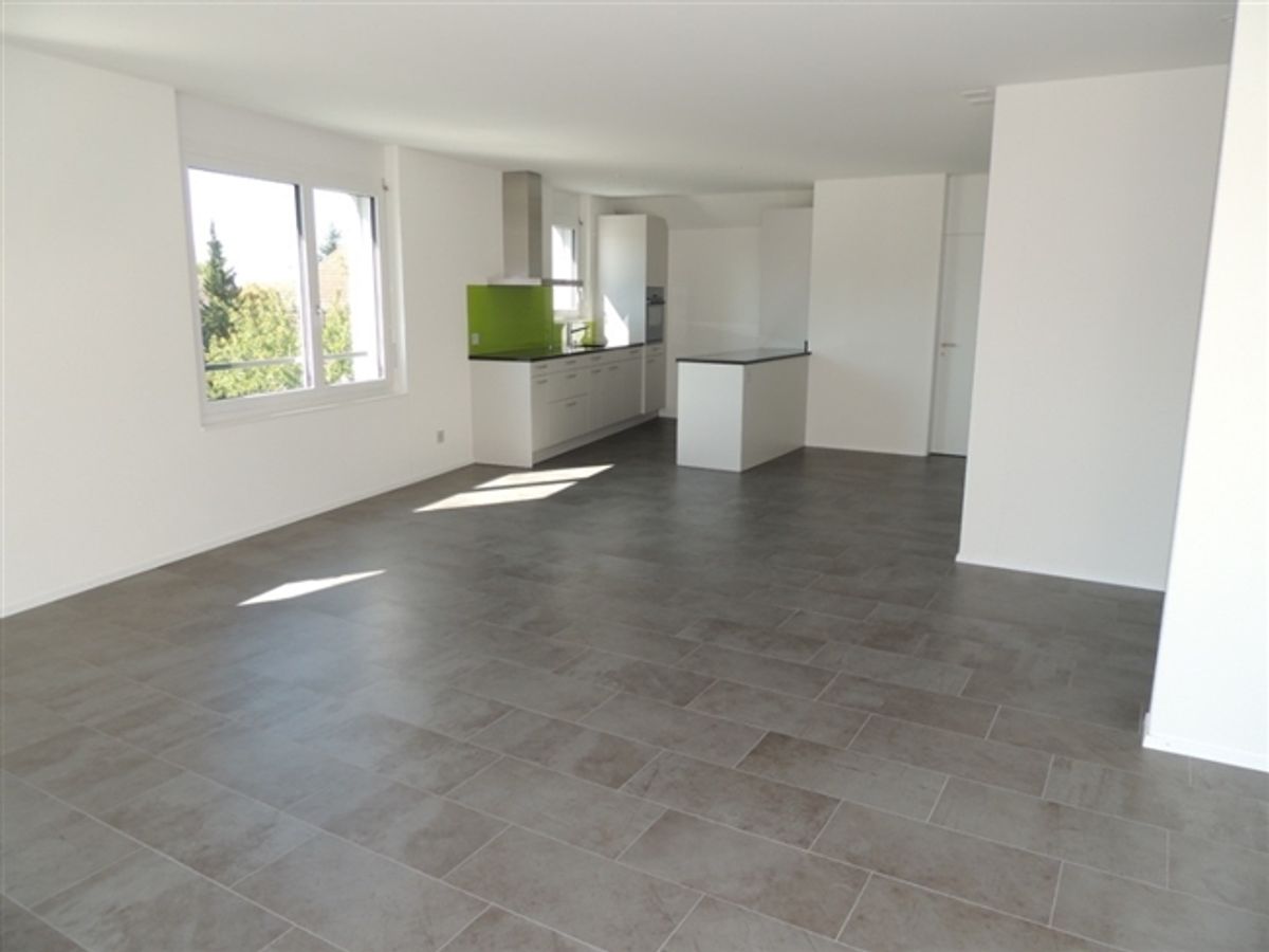 Grosszügige Attika-Dachwohnung mit Sonnenterrasse - 4