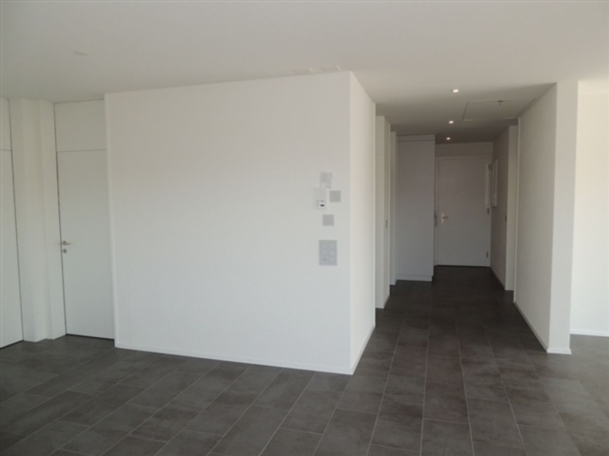 Grosszügige Attika-Dachwohnung mit Sonnenterrasse - 6