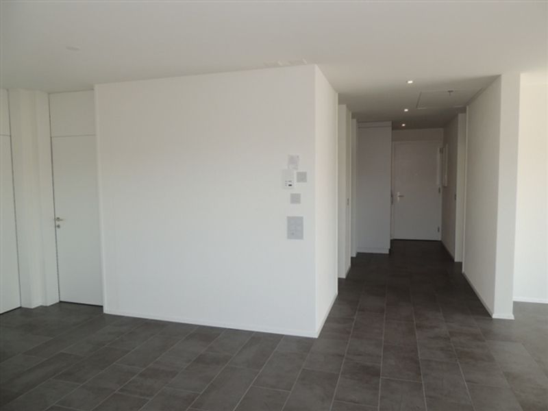 Grosszügige Attika-Dachwohnung mit Sonnenterrasse - 7