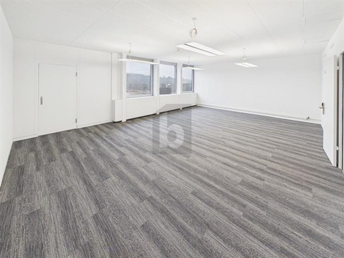 PRAKTISCH UND FRISCH RENOVIERT (BÜRO 4.03) - 3