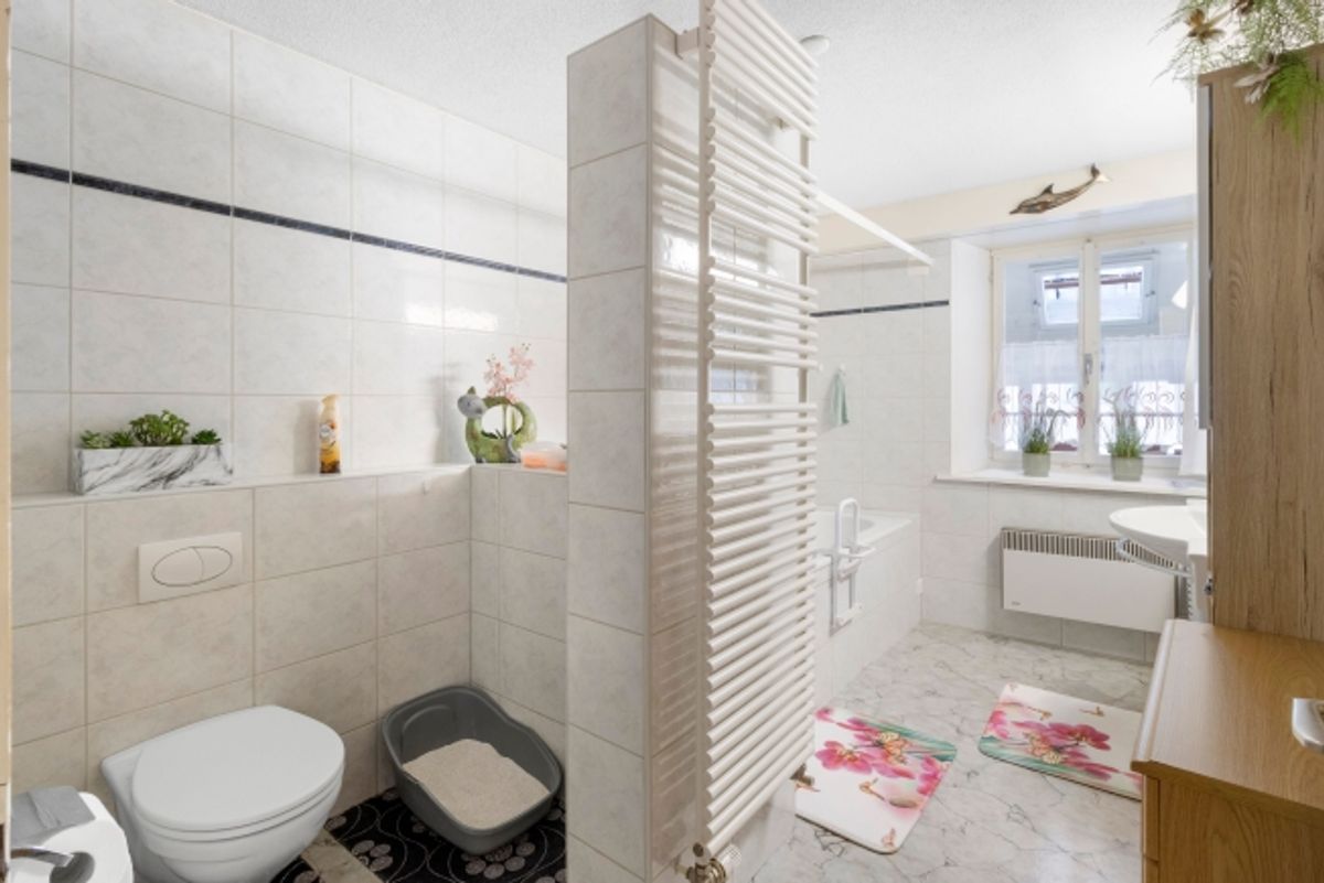 9-Zimmer Reihenmittelhaus an ruhiger und ländlicher Lage - 3