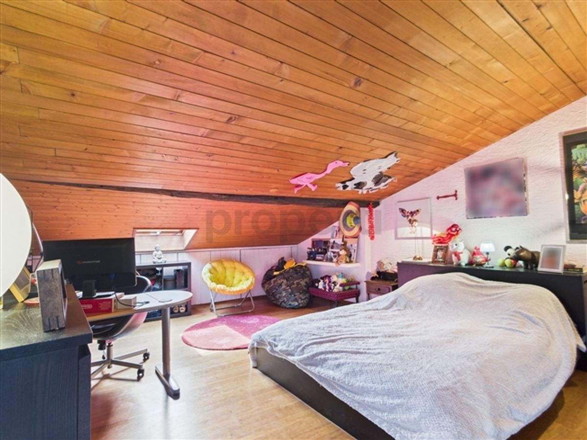 Grande maison de 11 pièces avec cachet  habitation, rendement ou projet mixte - 7