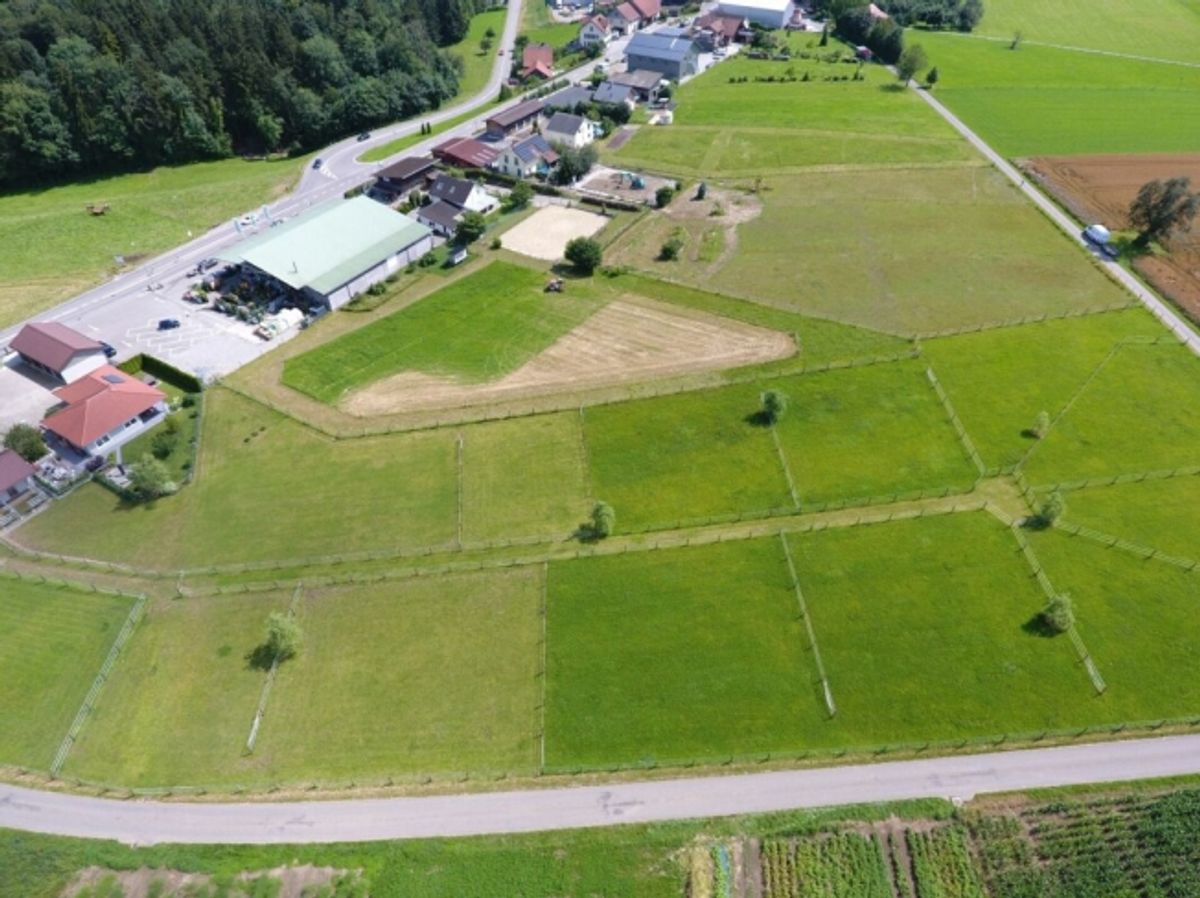 Reitsportimmobilie mit Haus und Reithalle - 5
