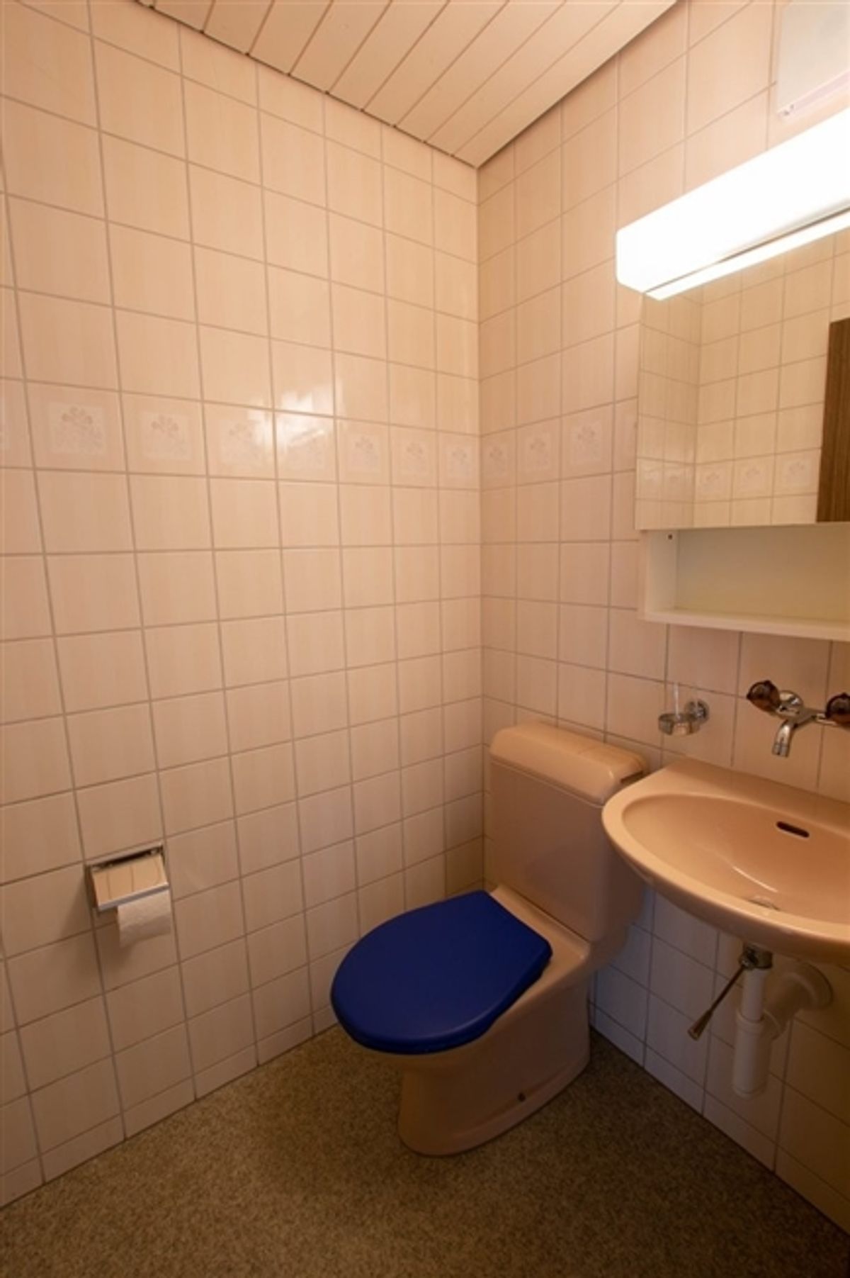 4 1/2-Zimmerwohnung mit zwei Balkonen in Langnau - 5