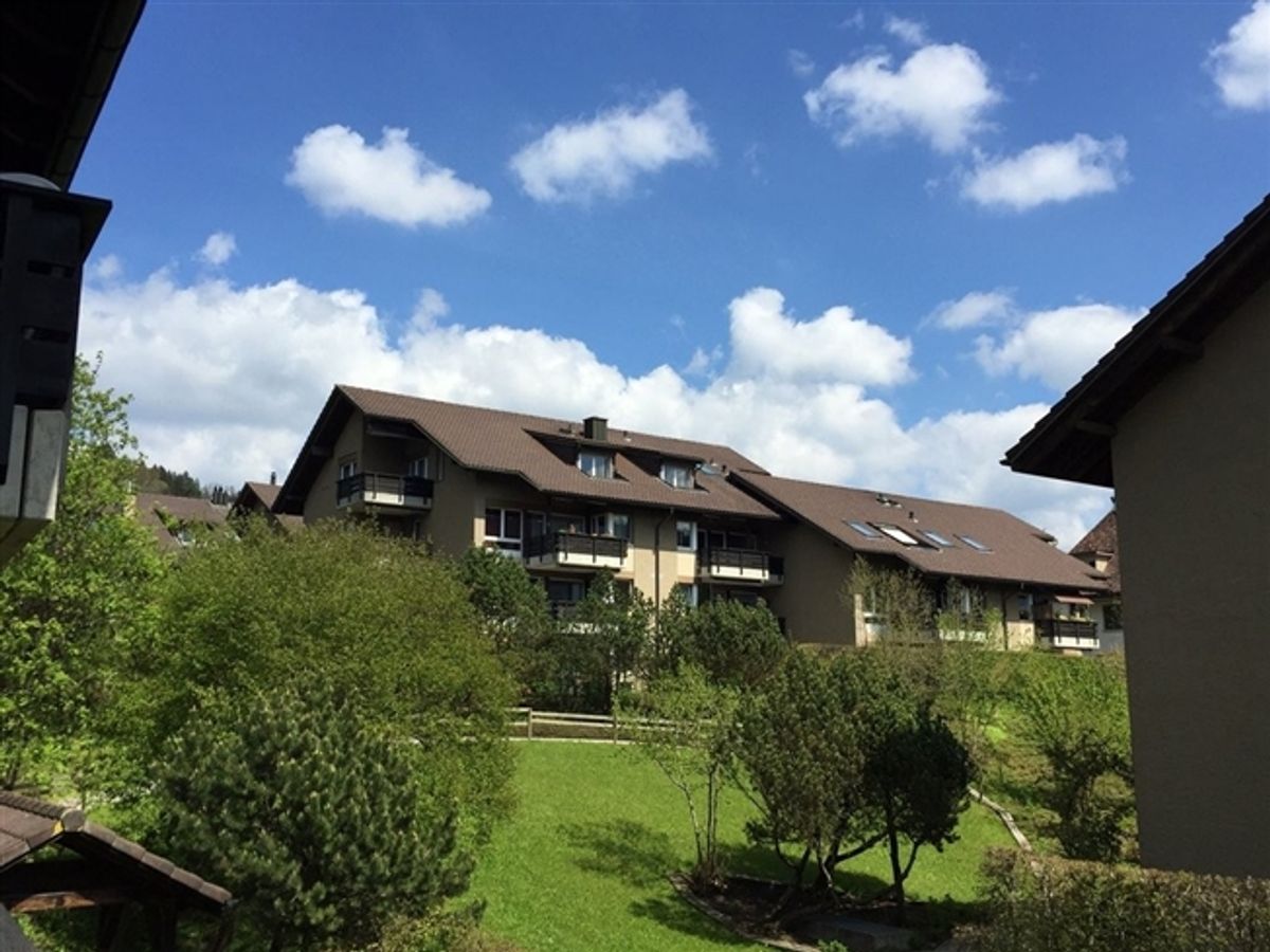 4 1/2-Zimmerwohnung mit zwei Balkonen in Langnau - 7