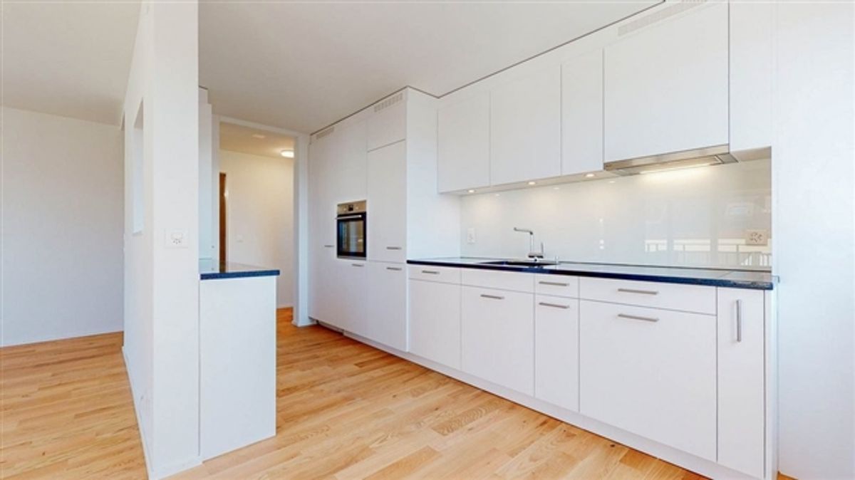 Mühlegut 2 = Ihr neues Zuhause - 4