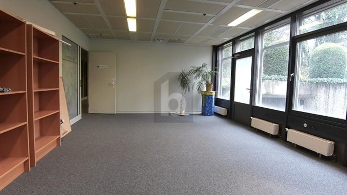 HELLES UND GERÄUMIGES BÜRO - 1