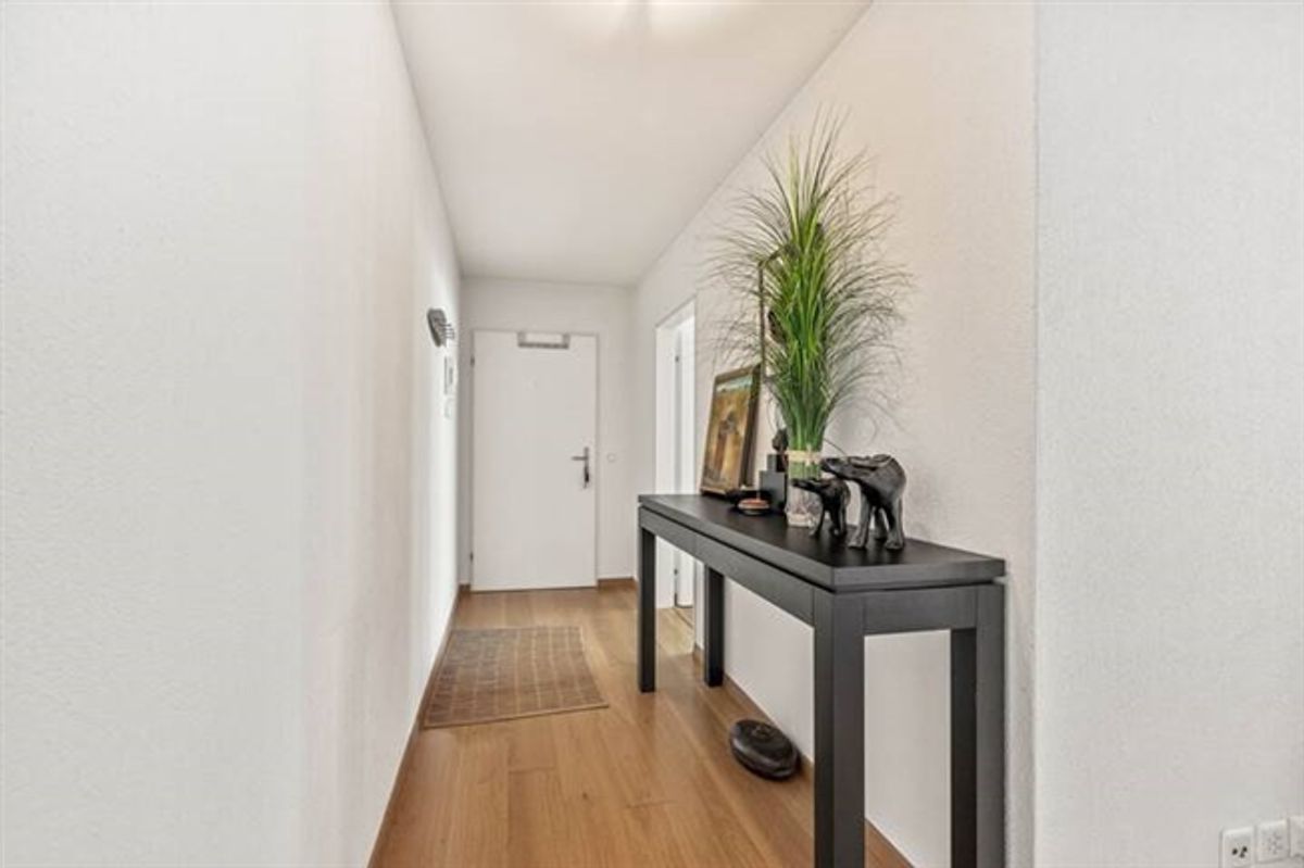 2.5 ZIMMER WOHNUNG MIT SEESICHT UND STEUERPRIVILEGIEN - 4
