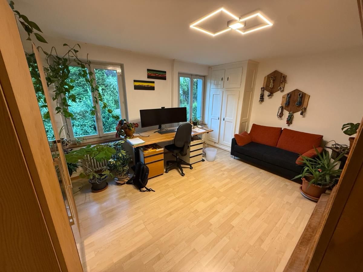 3.5 Zimmer Wohnung - 1