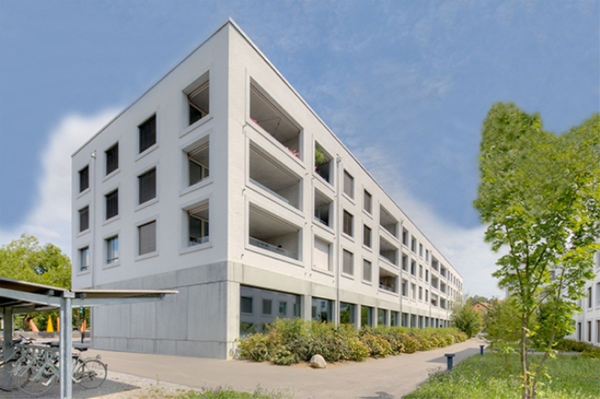 Wagen Sie einen Neuanfang - 0