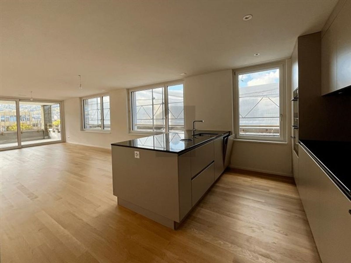 ERSTBEZUG GROSSER BALKON, SICHT AUF DEN ÜETLIBERG - 1