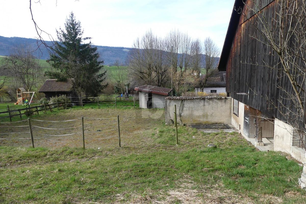 MAISON DE CAMPAGNE ( IDÉAL POUR ANIMAUX ) - 1