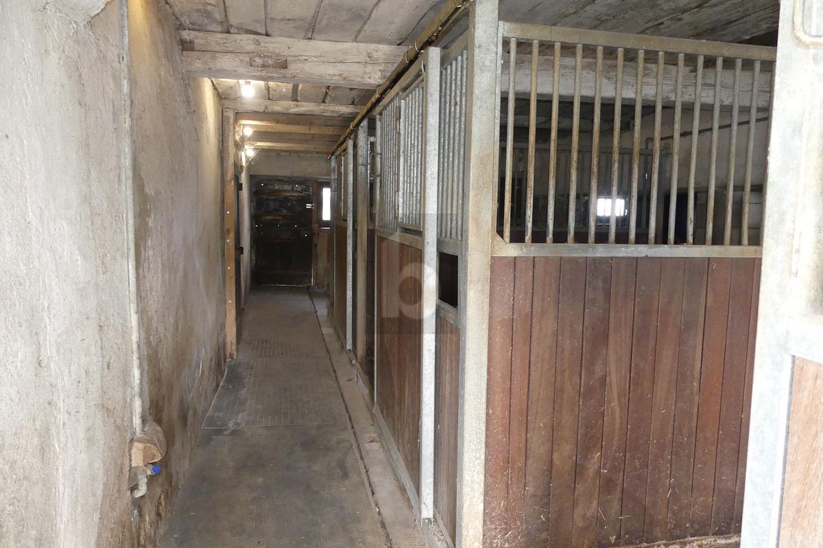 MAISON DE CAMPAGNE ( IDÉAL POUR ANIMAUX ) - 3