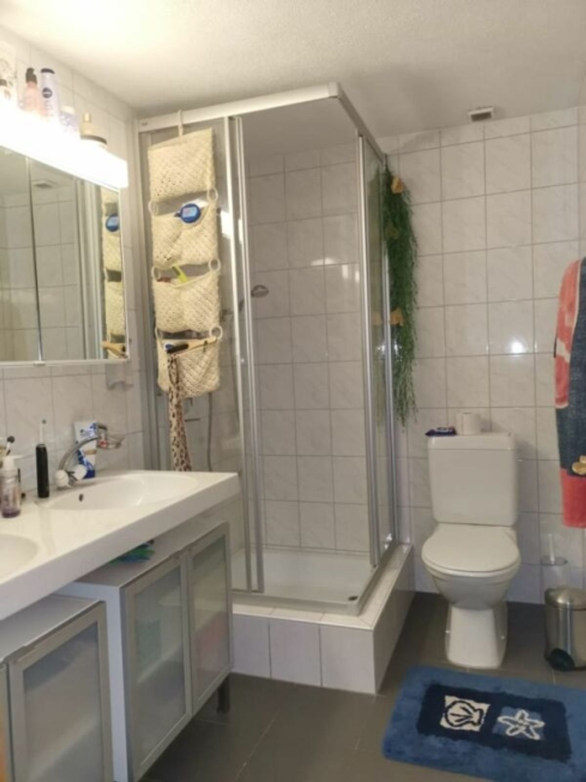 Gemütliche 4.5-Zimmer-Maisonette-Dachwohnung mit Sicht auf den Rhein - 1