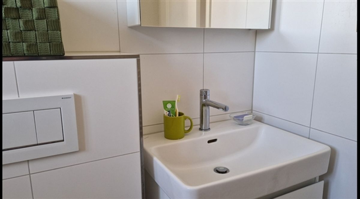 3 ZI-WOHNUNG IN URDORF (ZH), MÖBLIERT, TEMPORÄR - 5