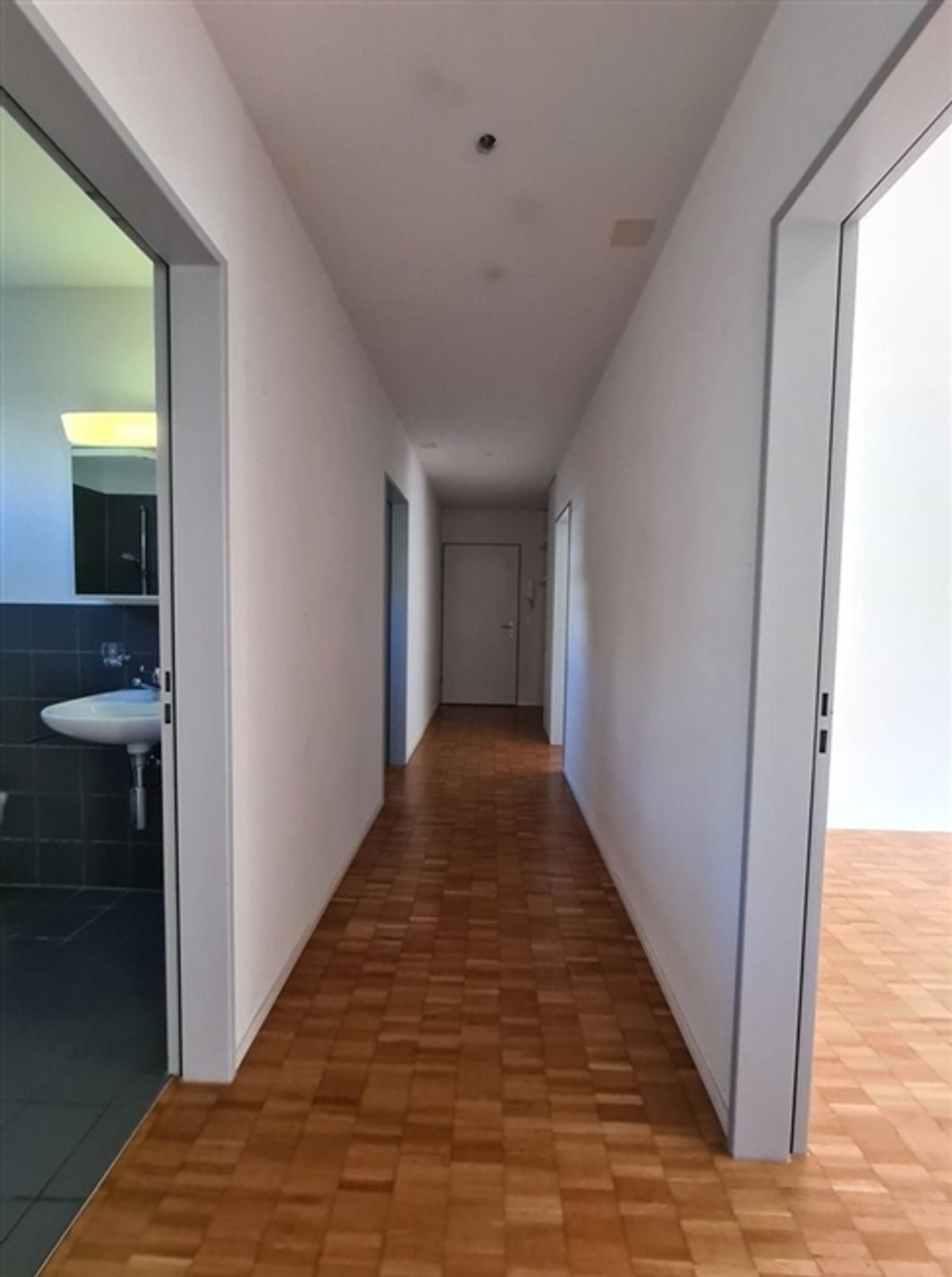 Tolle Wohnung an ruhiger Lage sucht neue Mieter per 16.07.2026. - 2
