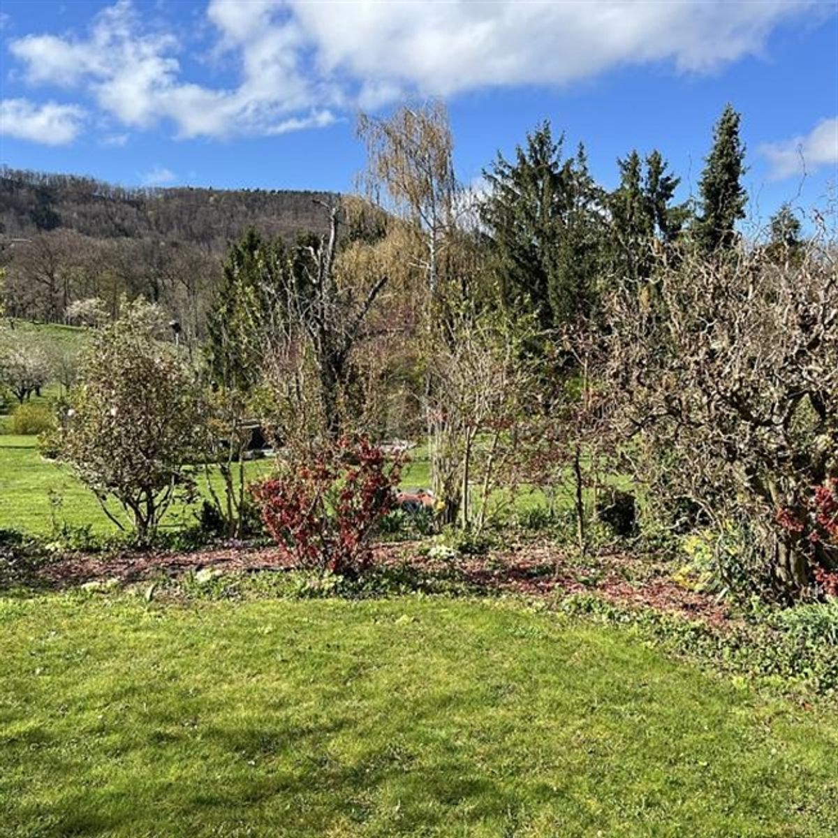 FAMILIENFREUNDLICH MIT SONNIGEM GARTEN - 4
