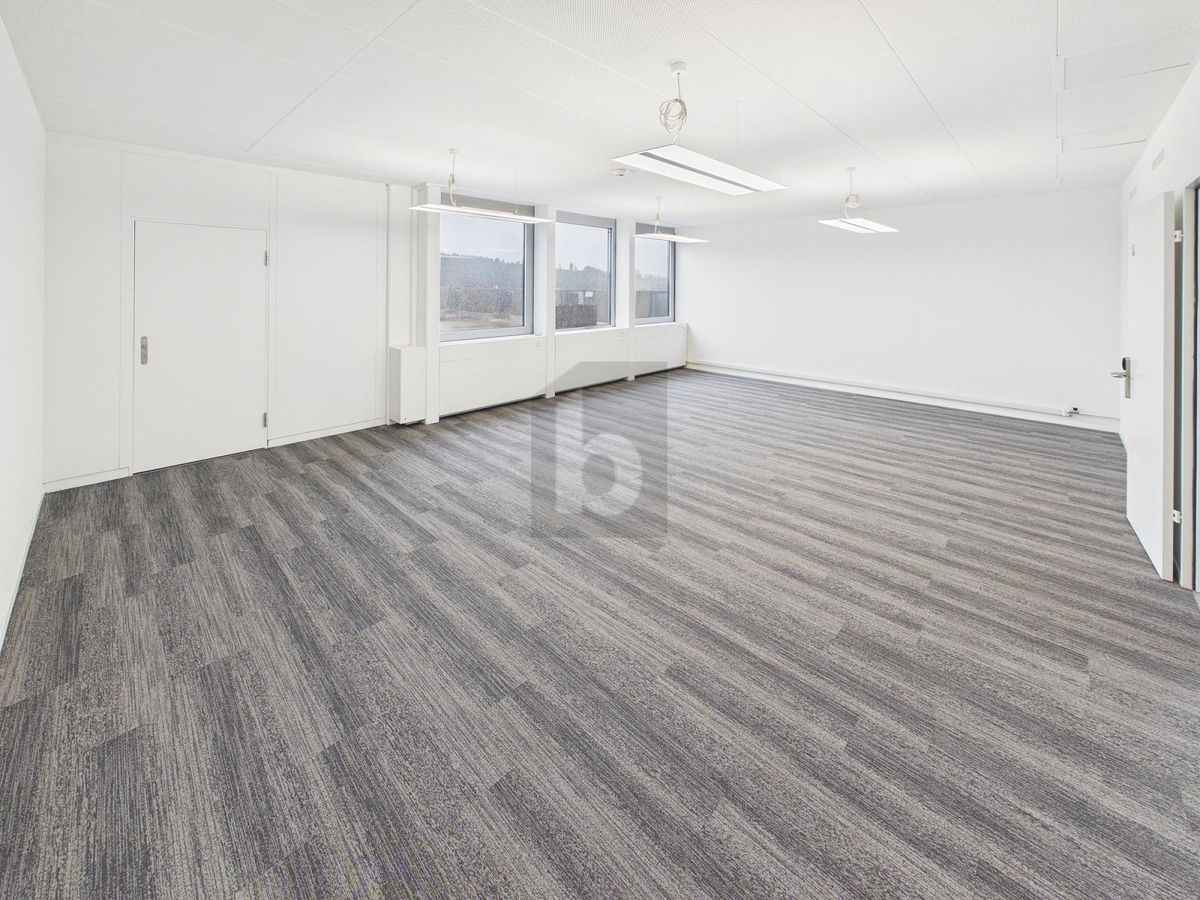 PRAKTISCH UND FRISCH RENOVIERT (BÜRO 4.03) - 3