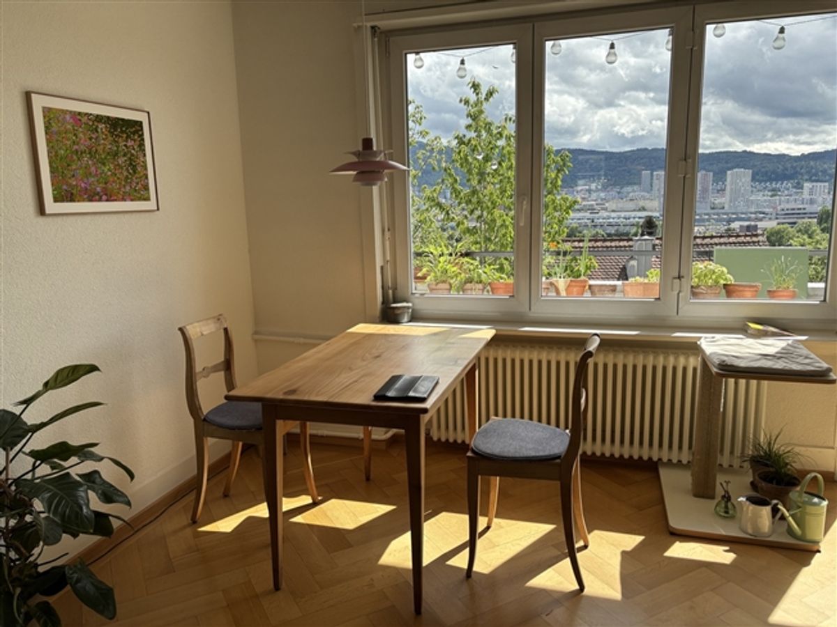 2 ZI-WOHNUNG IN ZÜRICH - KREIS 10, MÖBLIERT, TEMPORÄR - 1