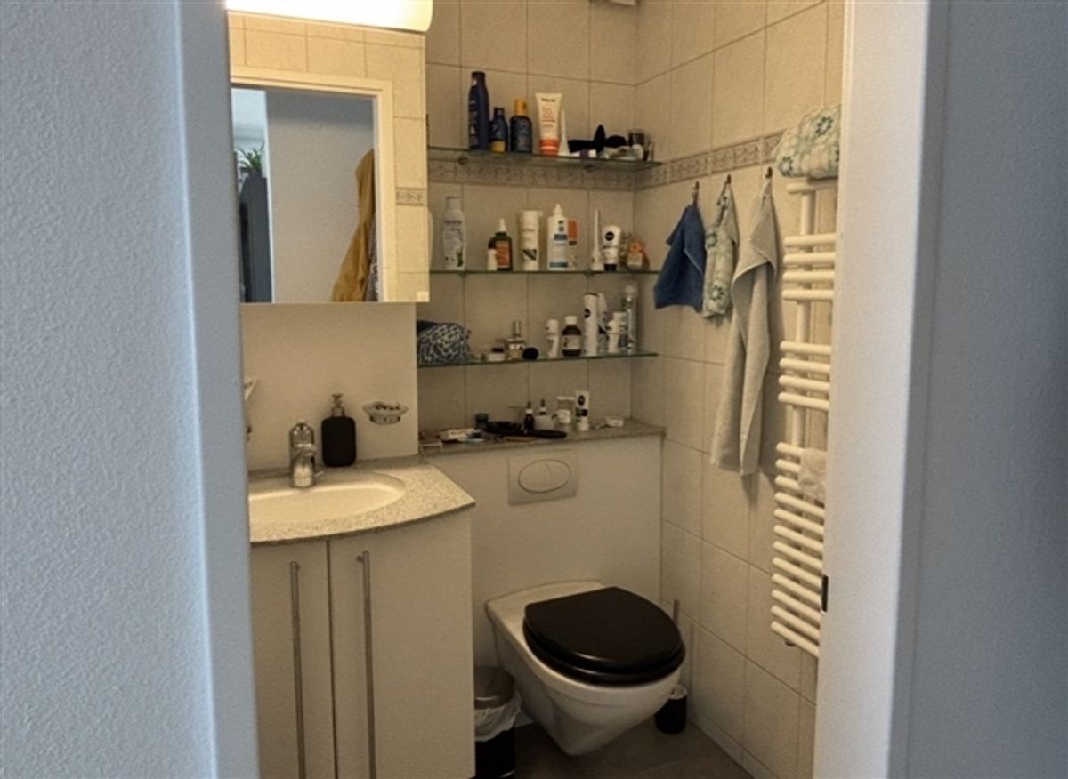3½ ZI-WOHNUNG IN BOLLIGEN (BE), MÖBLIERT, TEMPORÄR - 7