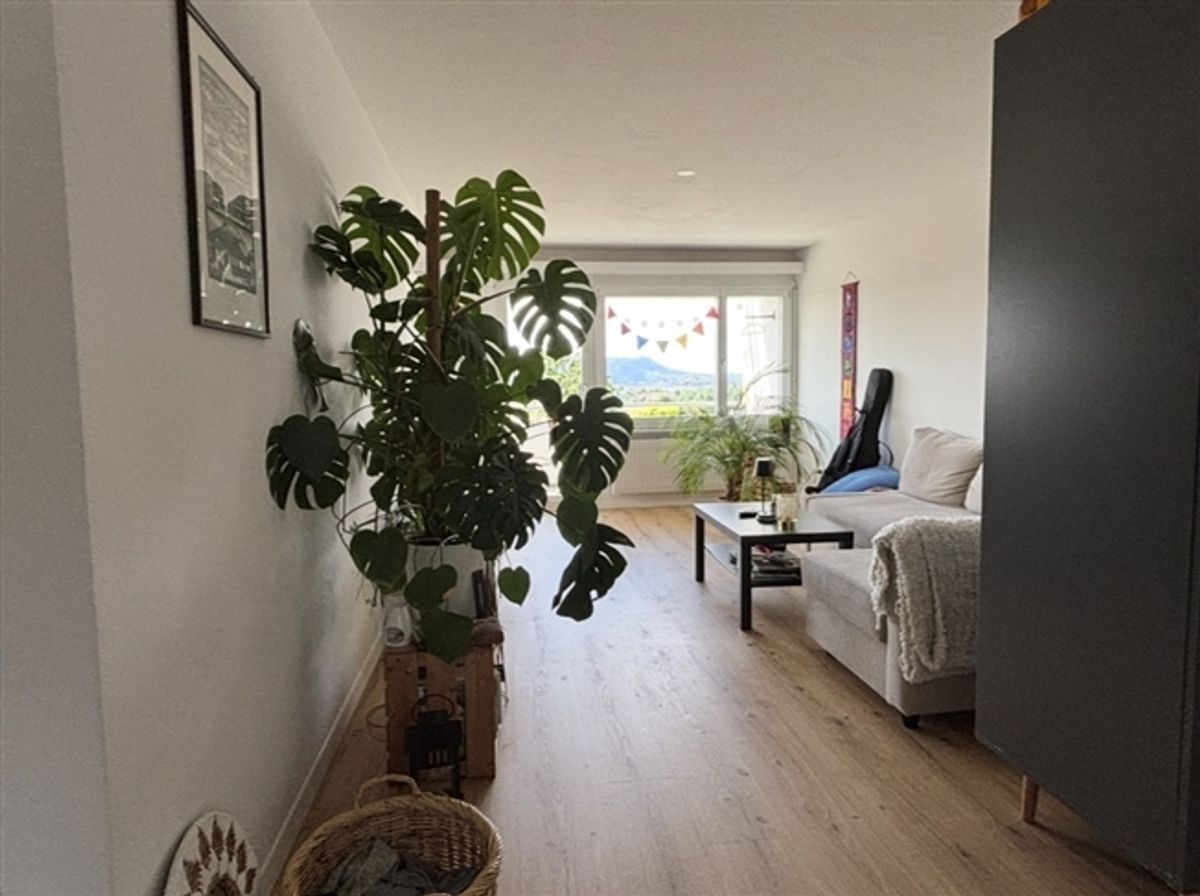 3½ ZI-WOHNUNG IN BOLLIGEN (BE), MÖBLIERT, TEMPORÄR - 0