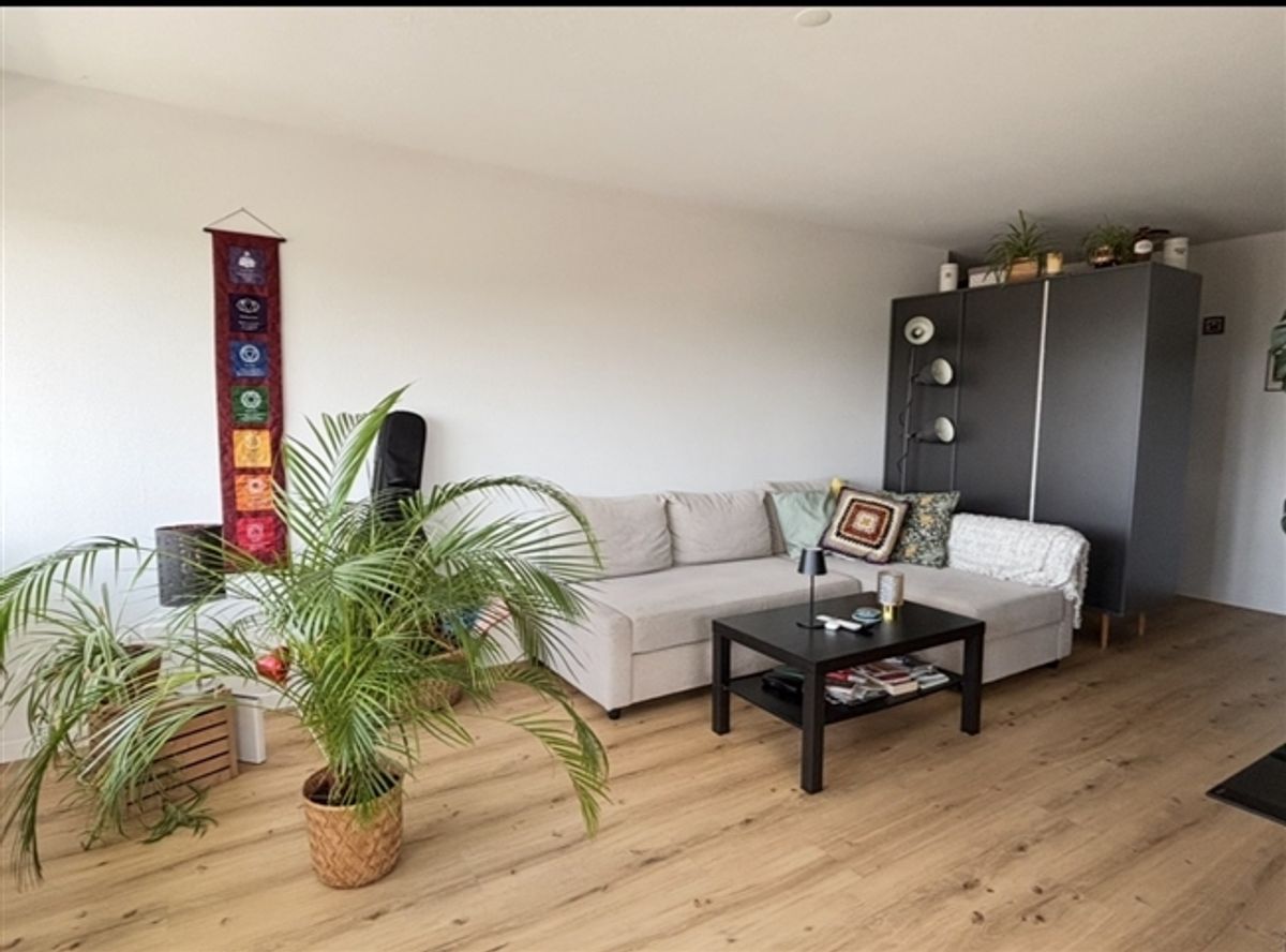 3½ ZI-WOHNUNG IN BOLLIGEN (BE), MÖBLIERT, TEMPORÄR - 2