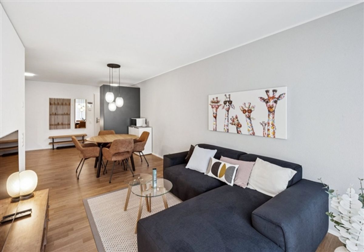 Design-Apartments im Lisbon-Style  Direkt am Bahnhof Muttenz - 3
