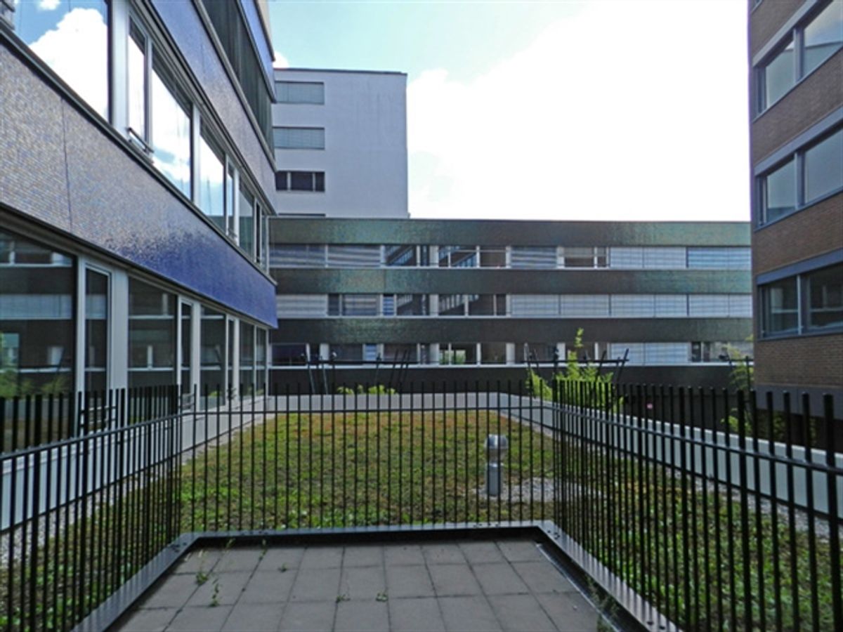 Moderne Bürofläche an attraktiver Lage in Zürich Albisrieden - 5