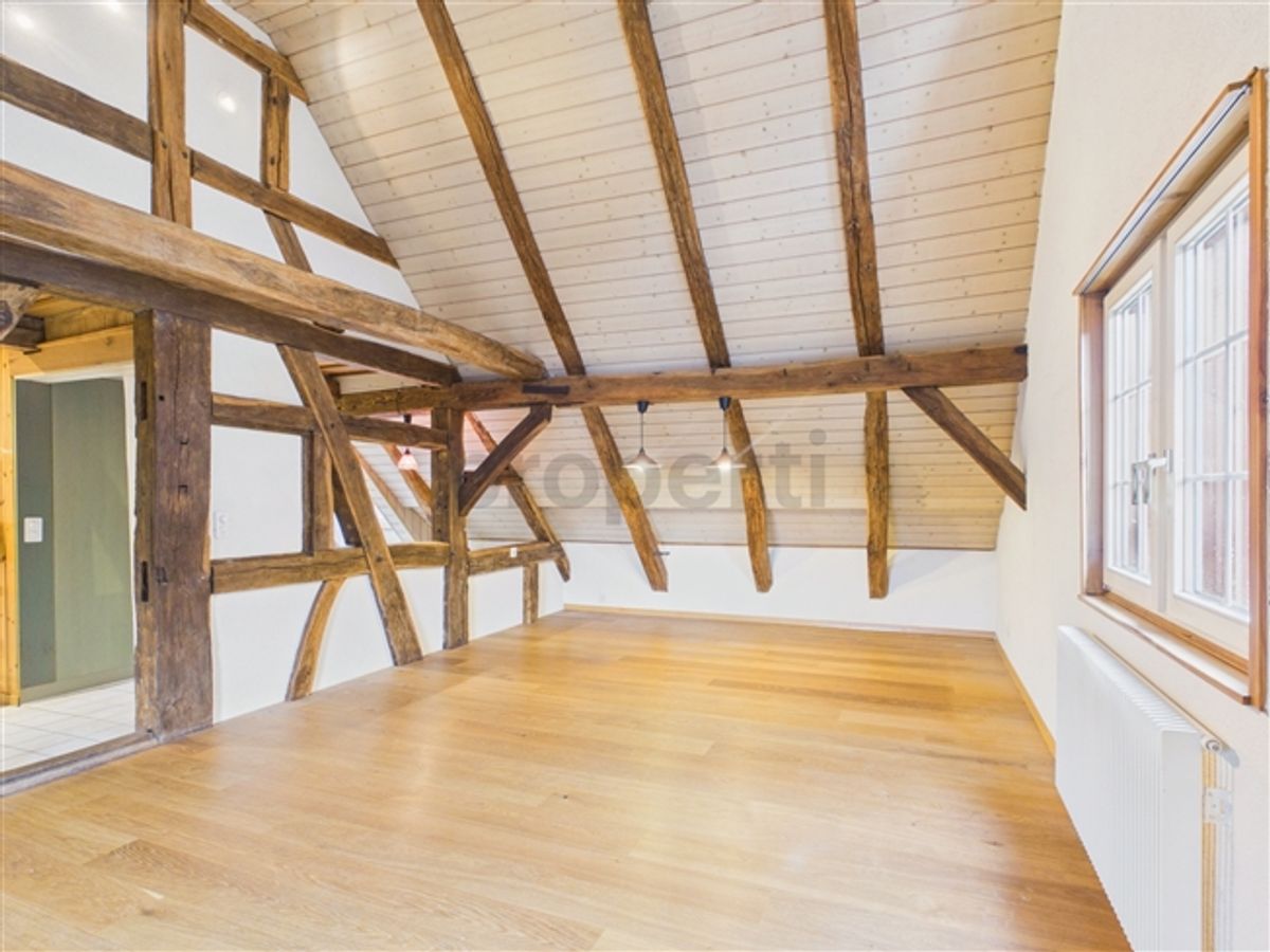 Historischer Zauber trifft auf moderne Eleganz  Ihr neues Zuhause in Rudolfingen - 1