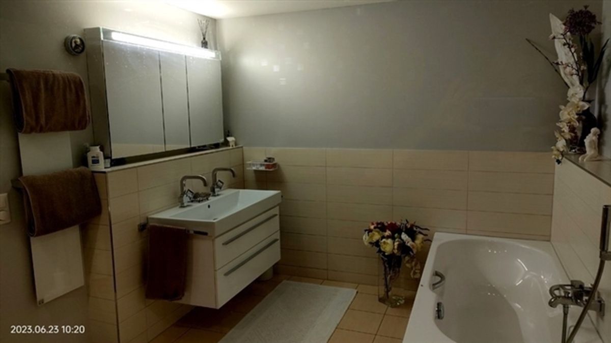 4½ ZI-WOHNUNG IN HILDISRIEDEN (LU), MÖBLIERT, TEMPORÄR - 5