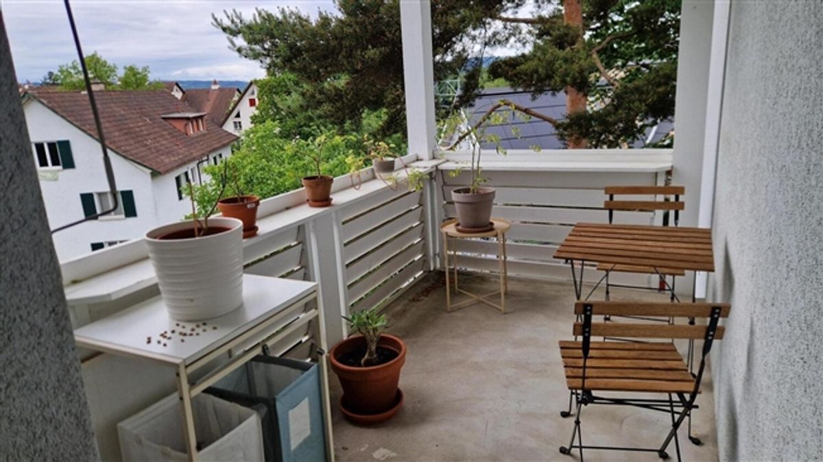 2½ ZI-WOHNUNG IN ZÜRICH - KREIS 10 RÜTIHOF, MÖBLIERT, TEMPORÄR - 7