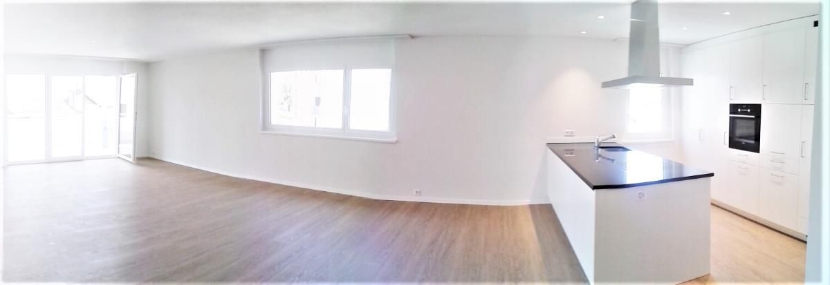 4.5 Zimmer Wohnung - 1