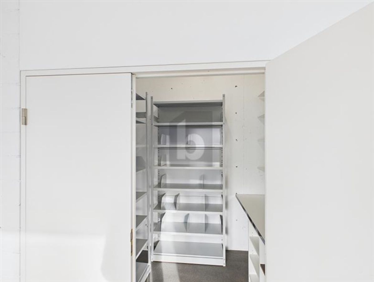 ERFOLG BRAUCHT TAGESLICHT - UND DIESE ADRESSE - 4