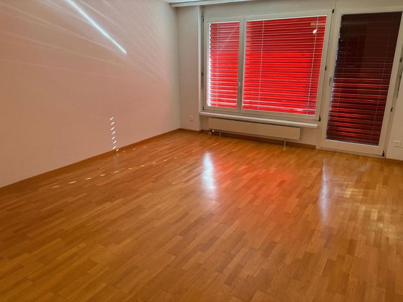 4.5 Zimmer Wohnung - 3