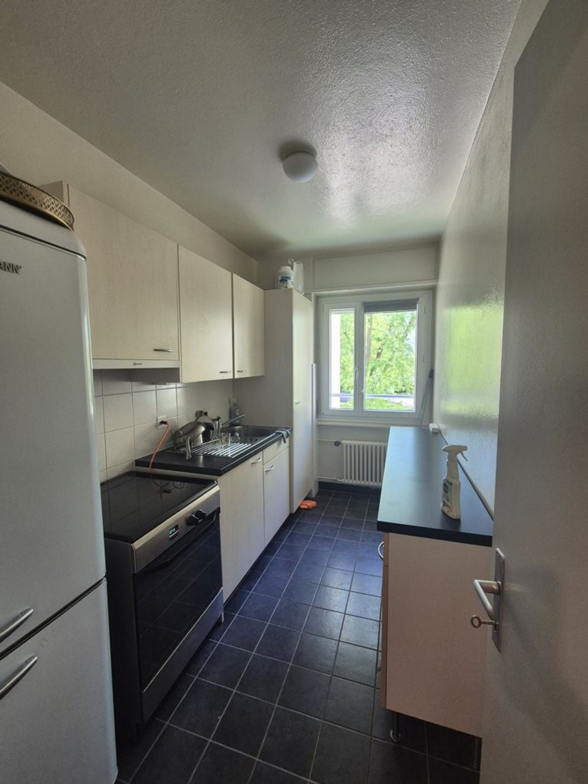 À saisir ! Magnifique appartement au centre de Meyrin ! - 2